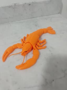 Articulated toys for kids - tortoise , centipede, Shrimp, Scorpion, Hippopotamus