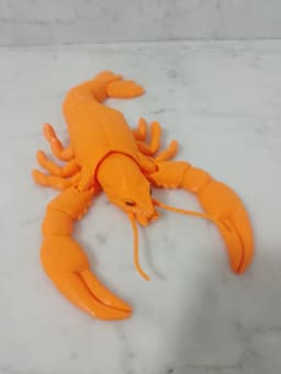 Articulated toys for kids - tortoise , centipede, Shrimp, Scorpion, Hippopotamus